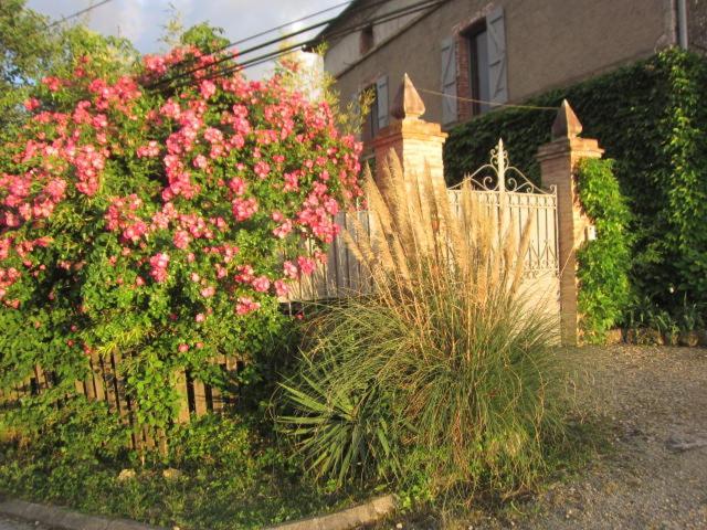 La Demeure De La Coste Bed & Breakfast Vieux  Luaran gambar